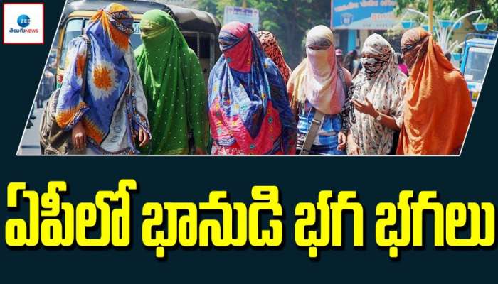 Summer Heat Waves: ఆంధ్ర ప్రదేశ్ లో భానుడి భగ భగలు.. కాలు బయట పెడితే అంతే సంగతులు.. 