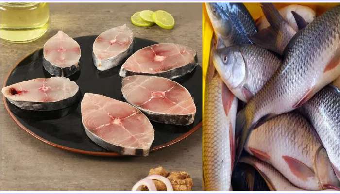 Fish Benefits: వేసవికాలంలో చేపలు తింటే కలిగే షోకలు ఏంటో మీకు తెలుసా..?