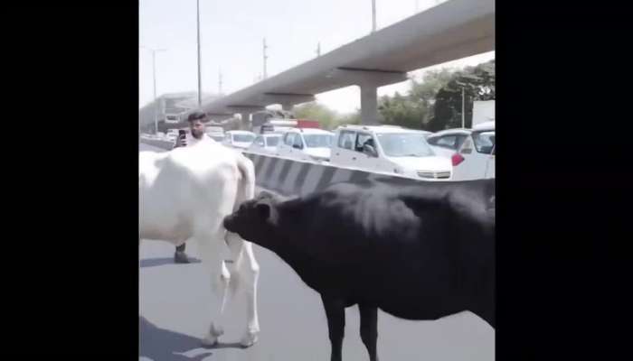Delhi CM Convoy Stops Suddenly On Road Now What Happened Video Viral Rv