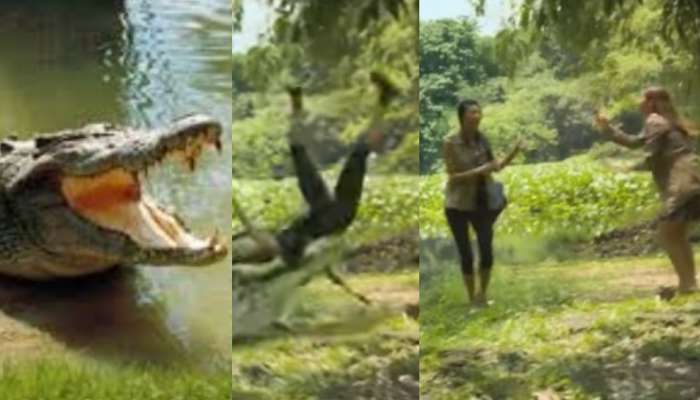 Crocodile Attacks Video: కొంప ముంచిన సెల్ఫీ సరదా.. యువతిని గుటుక్కున మింగేసిన భారీ మొసలి..?.. షాకింగ్ వీడియో వైరల్..