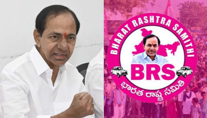 BRS Party: రజతోత్సవానికి గులాబీ దళం సిద్ధం.. పార్టీ శ్రేణులకు కేసీఆర్‌ దిశానిర్దేశం