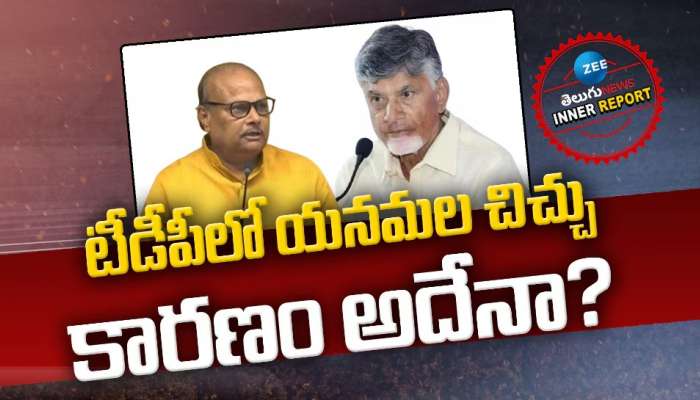 Yanamala Ramakrishnudu: టీడీపీ నుంచి యనమల ఎడబాటు.. ఆ కారణంతోనే గుడ్‌ బై..?