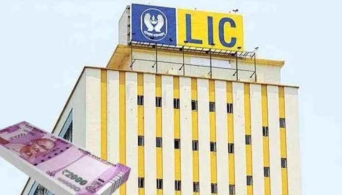 LIC: ప్రీమియం 4 సంవత్సరాలే.. ప్రయోజనం మాత్రం కోటి రూపాయలు.. ఈ LIC పాలసీ గురించి తెలుసా?
