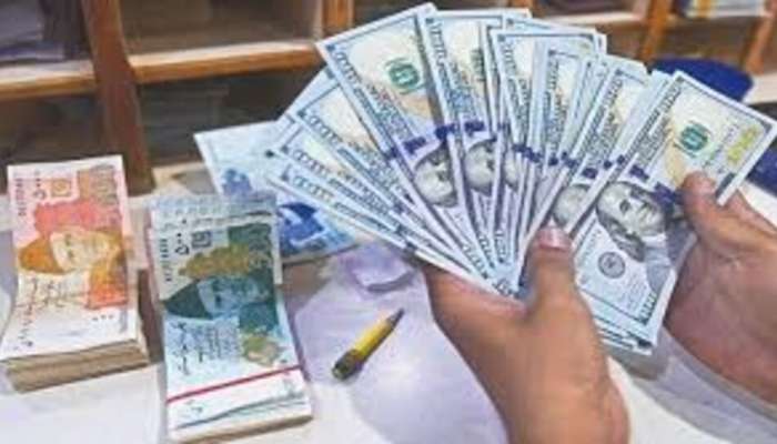 Pakistan Remittance: పాకిస్తాన్‌లో డాలర్ల వర్షం.. దాయాది దేశంలో మార్పు రానుందా? 
