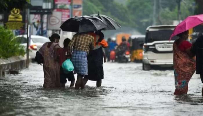 Heavy Rains Alert: గంటల వ్యవధిలో 16 సెంటీమీటర్ల వర్షం, 5 జిల్లాలకు ఎల్లో ఆలర్ట్ జారీ