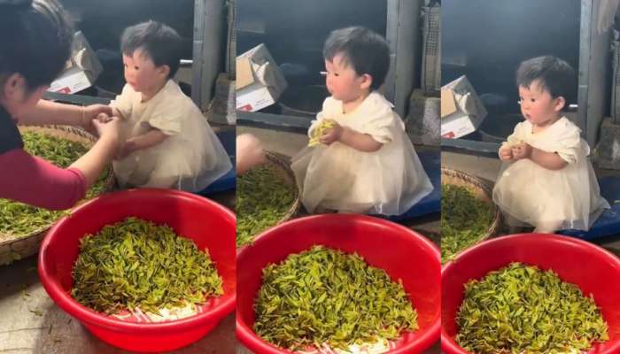 Cute Baby Video: బుడ్డది.. మరీ గయ్యాళి గంపలా ఉందేంటీ భయ్యా... వీడియో చూస్తే పడి పడి నవ్వడం పక్కా..!
