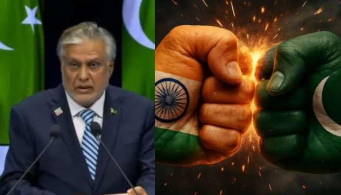 Pahalgam Terror Attack: వాళ్లు స్వాతంత్ర సమరయోధులు.. ఉగ్రదాడి దుర్మార్గులపై పాక్ ఉప ప్రధాని ప్రశంసలు.. రగిలిపోతున్న భారత్..