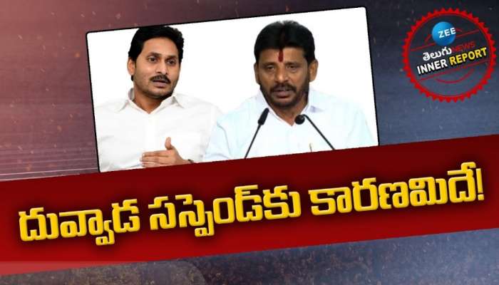 Duvvada Srinivas: దువ్వాడ సస్పెన్షన్ వెనుకాల అసలు కారణం ఇదే.. ఆ కామెంట్స్‌తో పెద్ద దుమారం..!