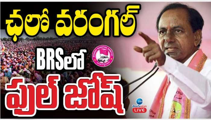 BRS Party: కనీవినీ ఎరుగని రీతిలో బీఆర్‌ఎస్‌ రజతోత్సవ సభ.. తెలంగాణ చూపు ఎల్కతుర్తి వైపు