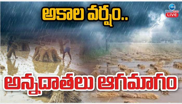 AP Rains: అకాల వర్షం.. అన్నదాతలు ఆగమాగం.. 