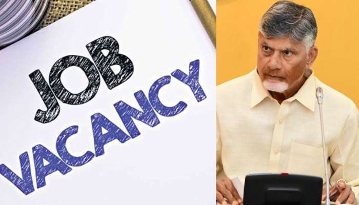 Chandrababu: నిరుద్యోగులకు జాక్‌పాట్.. 237 ఉద్యోగాలకు సీఎం చంద్రబాబు గ్రీన్ సిగ్నల్