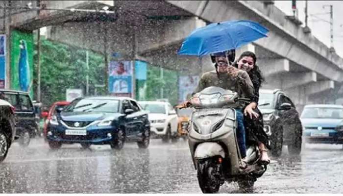 Telangana Rain Alert: తెలంగాణలోని ఈ జిల్లాలకు ఎల్లో అలర్ట్ జారీ, నాలుగు రోజులు వర్షసూచన