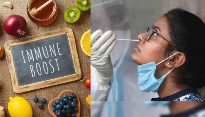 Corona Virus: మళ్లీ విజృంభిస్తున్న కరోనా .. ఇమ్యునిటీని జెట్ స్పీడ్‌లో పెంచే ఆహార పదార్థాలు ఇవే..