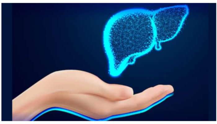 Liver Health: కాలేయ ఆరోగ్యానికి 10 ఆహారాలు వరం వంటివి.. తింటే జీవితాంతం ఆరోగ్యం..