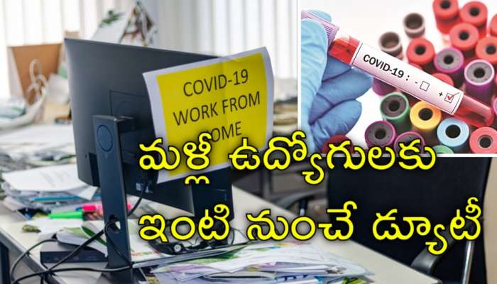 Covid 19 WFH: ఉద్యోగులకు కంపెనీల జాక్‌పాట్‌.. కరోనా డేంజర్‌ బెల్స్‌తో మళ్లీ వర్క్‌ ఫ్రమ్‌ హోమ్‌