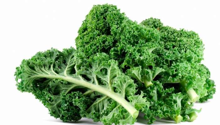 Kale For Weight Loss: బరువు తగ్గాలంటే దీని మీ డైట్‌లో చేర్చుకోండి..