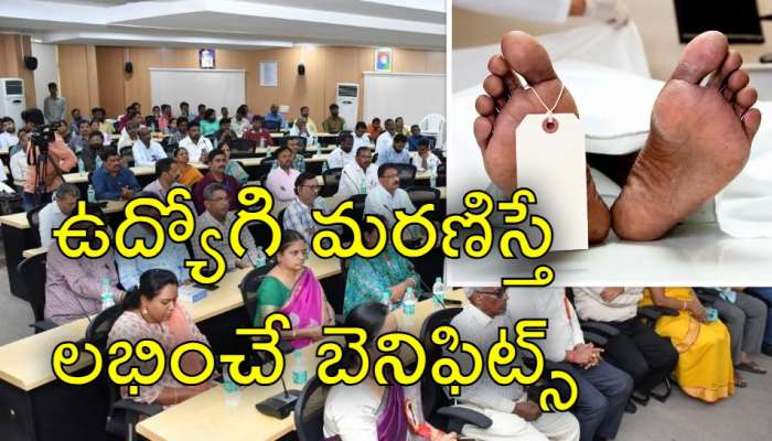 Govt Employees: ప్రభుత్వ ఉద్యోగి అకస్మాత్తుగా చనిపోతే వచ్చే ప్రయోజనాలు ఏమిటో తెలుసా?