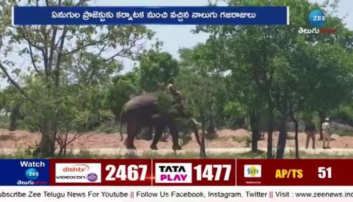 karnataka govt hands over again two kumki elephant to andhra pradesh