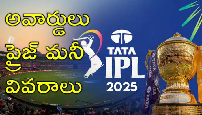 IPL 2025 Prize Money: ఏ అవార్డు ఎవరికీ? ఒక్కొక్కరు ఎన్ని కోట్లు అందుకున్నారో తెలుసా?