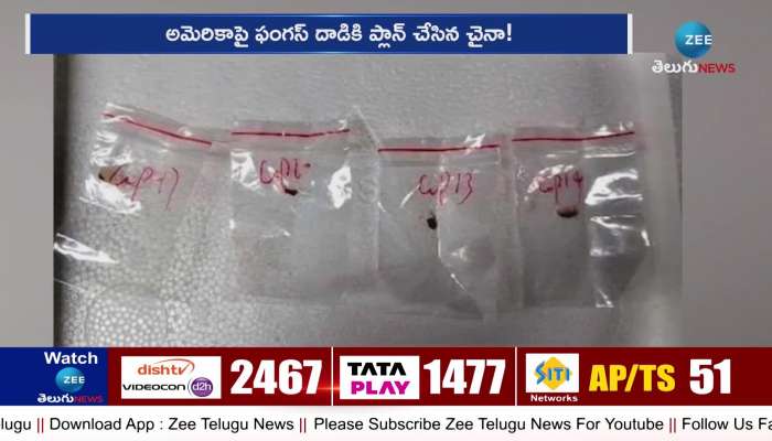 FBI arrested two China Scientists for smuggling dangerous fungus in US