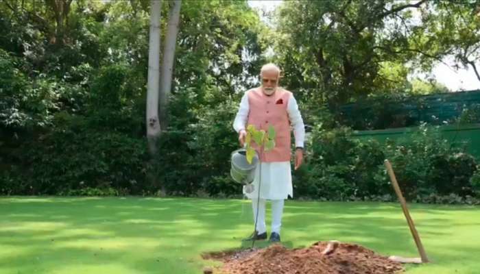  World Environment Day: సిందూరం మొక్కను నాటిన ప్రధాని మోదీ..ఈ మొక్క ప్రత్యేకత ఏమిటో తెలుసా?