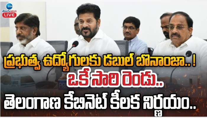 Telangana Cabinet Decisions: తెలంగాణ మంత్రివర్గ కీలక నిర్ణయాలు.. అవేంటో తెలుసా?