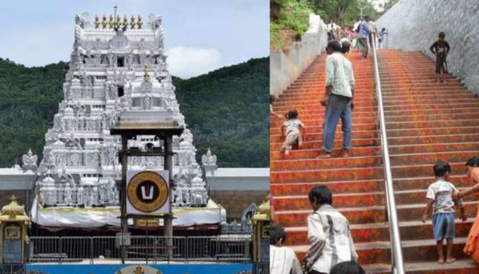 Tirumala: తిరుమల మెట్ల మార్గంలో పెనువిషాదం... ఆందోళనలో శ్రీవారి భక్తులు.. ఏం జరిగిందంటే..?