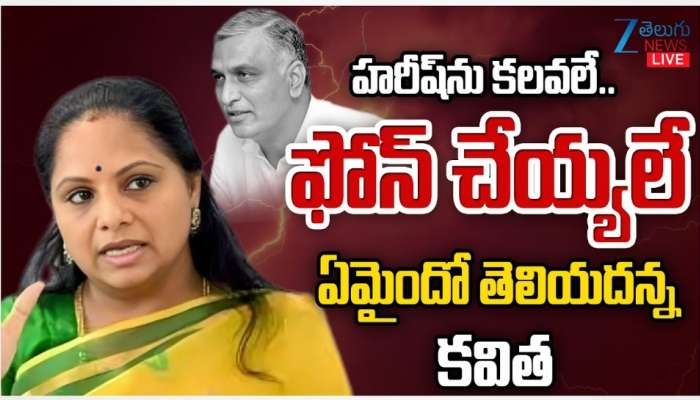 K Kavitha: &#039;చంద్రబాబును జల దోపిడీని అడ్డుకోవడంలో రేవంత్ రెడ్డి పేపర్ పులి&#039;