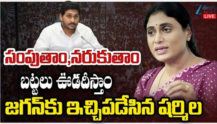 YS Sharmila: ఏ ముఖం పెట్టుకొని ఏపీకి మోడీ వస్తున్నారు? వైఎస్ షర్మిల నిలదీత