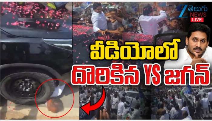 YS Sharmila: 'జగన్‌ రాక్షసత్వానికి నిదర్శనం సింగయ్య మృతి': వైఎస్‌ షర్మిల