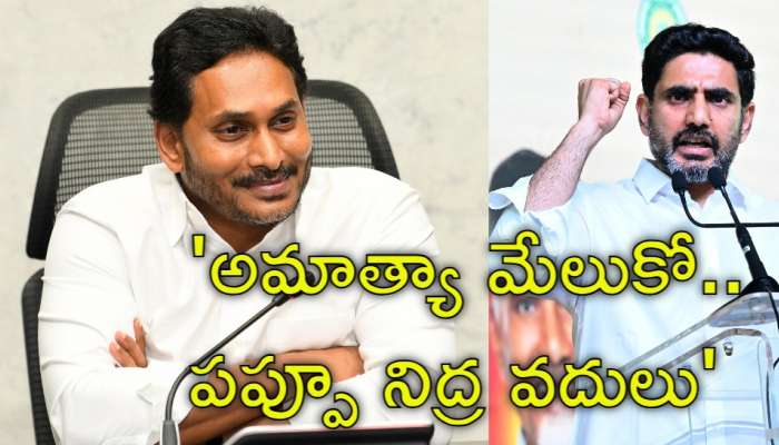 YS Jagan: నారా లోకేశ్‌పై వైఎస్‌ జగన్‌ సంచలన వ్యాఖ్యలు.. &#039;పప్పూ నిద్ర వదులు&#039;