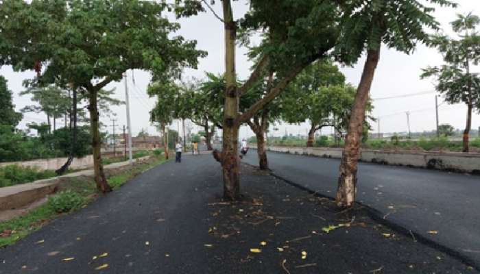 Viral Road: రోడ్డు మధ్యలో చెట్లు, వంద కోట్లు తగలేశారు కదా