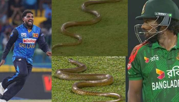 SL vs BAN 1st ODI Snake in Ground: బంగ్లాదేశ్‌ ప్లేయర్లంటే పాములకు ఇష్టమా? శ్రీలంకపై మ్యాచ్‌లో దూసుకొచ్చిన నాగుపాము.. వీడియో వైరల్