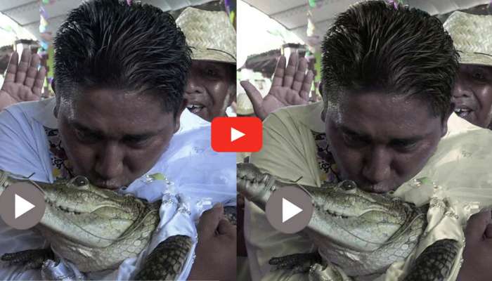 Man Marries Crocodile Video: ఇదేమి వింత రా బాబు.. మొసలిని  పెళ్లి చేసుకున్న యువకుడు.. వీడియో ఇదే..
