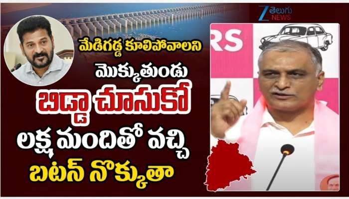 Harish Rao: రేవంత్‌ రెడ్డికి మాజీ మంత్రి హరీశ్ రావు వార్నింగ్‌.. ప్రజా బలమేంటో చూపిస్తాం