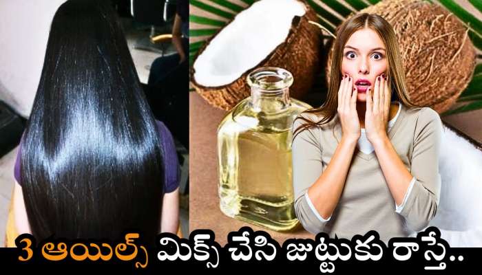 White Hair Problem: 3 ఆయిల్స్‌ మిక్స్‌ చేసి జుట్టుకు రాస్తే.. తెల్ల జుట్టు సమస్య పూర్తిగా నల్లగా మారుతుంది!