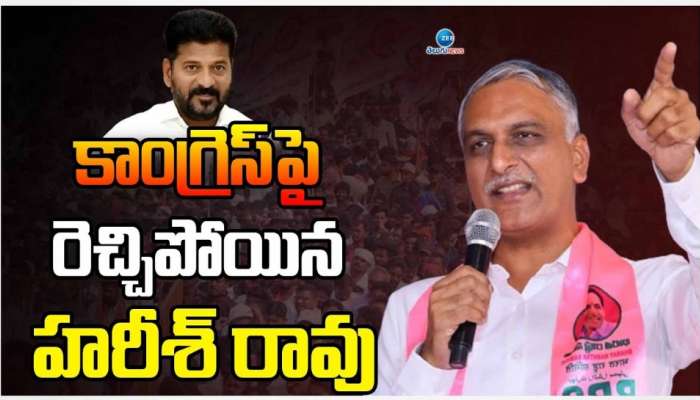 Harish Rao: కాంగ్రెస్ ప్రభుత్వాన్ని.. రేవంత్‌ రెడ్డినే కొరడా దెబ్బలు కొట్టాలి
