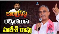Harish Rao: కాంగ్రెస్ ప్రభుత్వాన్ని.. రేవంత్‌ రెడ్డినే కొరడా దెబ్బలు కొట్టాలి