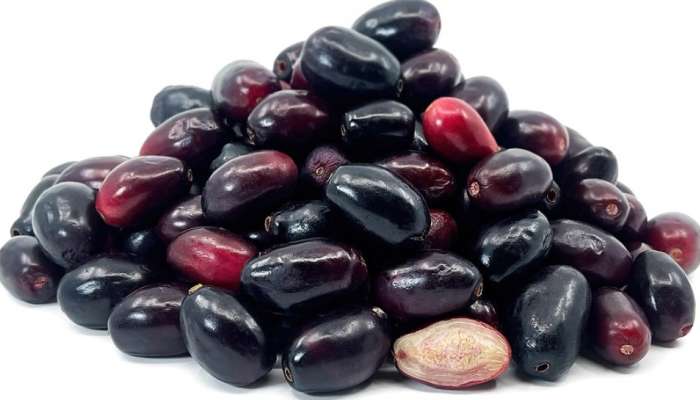 JAMUN FRUITS BENEFITS: చిన్న పండు.. గొప్ప లాభాలు.. ఆహారంలో ఈ పండును చేర్చుకుంటే బోలేడు ప్రయోజనాలు