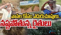 No Rains: వానల కోసం ఎదురుచూపులు.. నష్టపోతున్న రైతన్నలు.. 