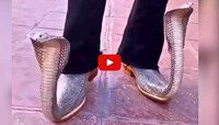 కింగ్ కోబ్రాలను చంపి షూల తయారీ.. ఎలా ఉన్నాయో మీరే చూడండి.. వీడియో..