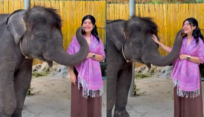 Viral Video: ఈ ఏనుగు భలే రొమాంటిక్ భయ్యా.!. సెల్ఫీ తీసుకుందామని చూస్తే ఏకంగా యువతిని.. వీడియో వైరల్..