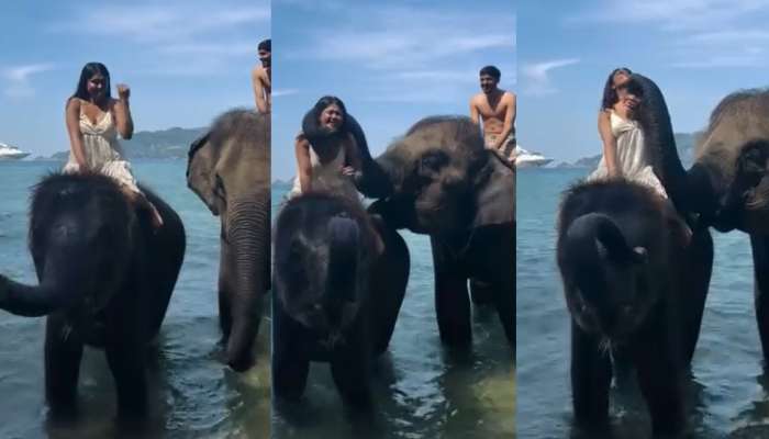 Viral Video: అరె వావ్.. రొమాంటిక్ మూడ్‌లో ఏనుగు.!. తుండంతో యువతి బుగ్గల్ని నిమురుతూ హల్  చల్.. ఫన్నీ వీడియో..