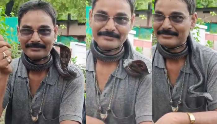 Snake Bite Video: వరల్డ్ స్నేక్ డే రోజు ఘోరం.. కాపాడిన పాము కాటుకే బలైన స్నేక్‌ క్యాచర్.. వీడియో వైరల్..
