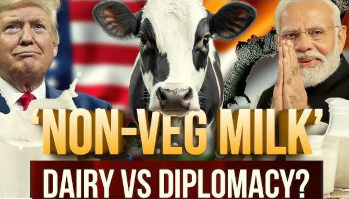 Non Veg Milk: నాన్ వెజ్ మిల్క్ అంటే ఏంటి? ఎందుకింత వివాదాస్పదమైంది? ఇండియన్స్  ఎందుకు వ్యతిరేకిస్తున్నారు..?