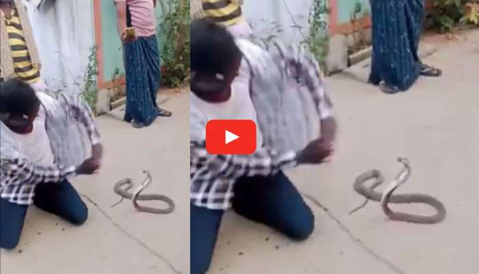 Cobra Trending Video: నాగుపాము ముందు నాగిని డ్యాన్స్ వేసిన యువకుడు.. చివరికి జరిగింది ఇదే.. వీడియో చూడండి..