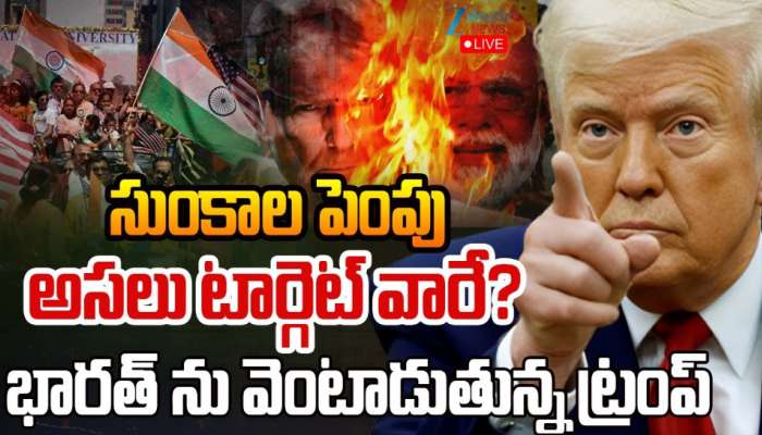 America Tariff on India: భారత్ పై పగపట్టిన ట్రంప్.. సుంకాల బాదుడు వెనక అసలు కారణం అదే.. 