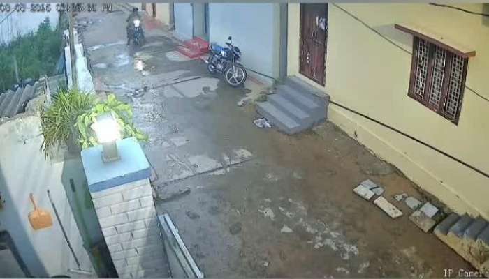 Partisan Cat Theft In Nalgonda CC Footage Goes Viral Watch