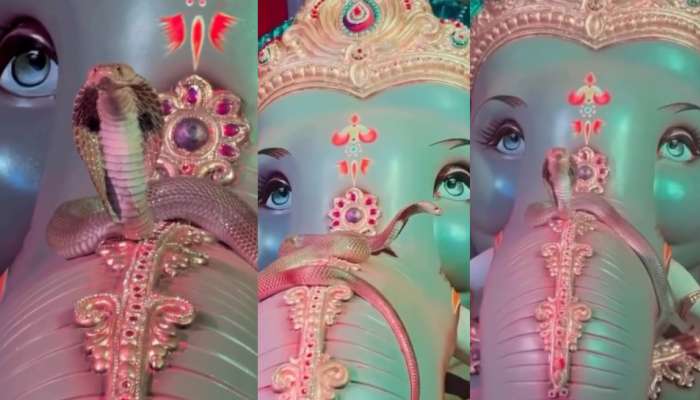 Video Viral: గణేష్ చతుర్థి వేళ మరో అద్భుతం.!.వినాయకుడి తొండం మీద బుసలు కొడుతున్న నాగు పాము.. వీడియో ఇదే..