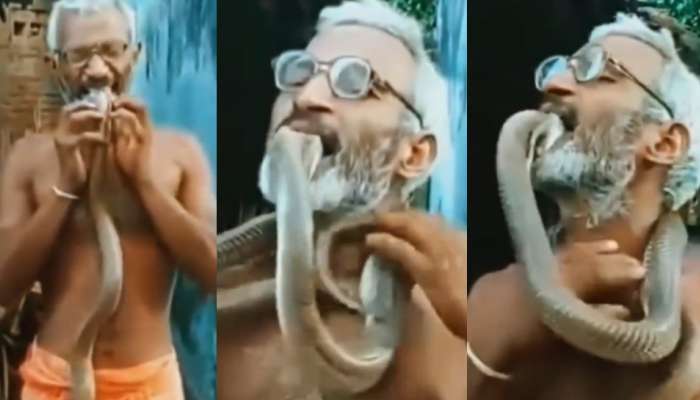 Man Kissing Snake Video: ఏంటీ భయ్యా.. ఇంత వైలెంట్‌గా ఉన్నాడు.!. నాగు పామును నోట్లో పెట్టుకుని కసితీరా.. షాకింగ్ వీడియో..